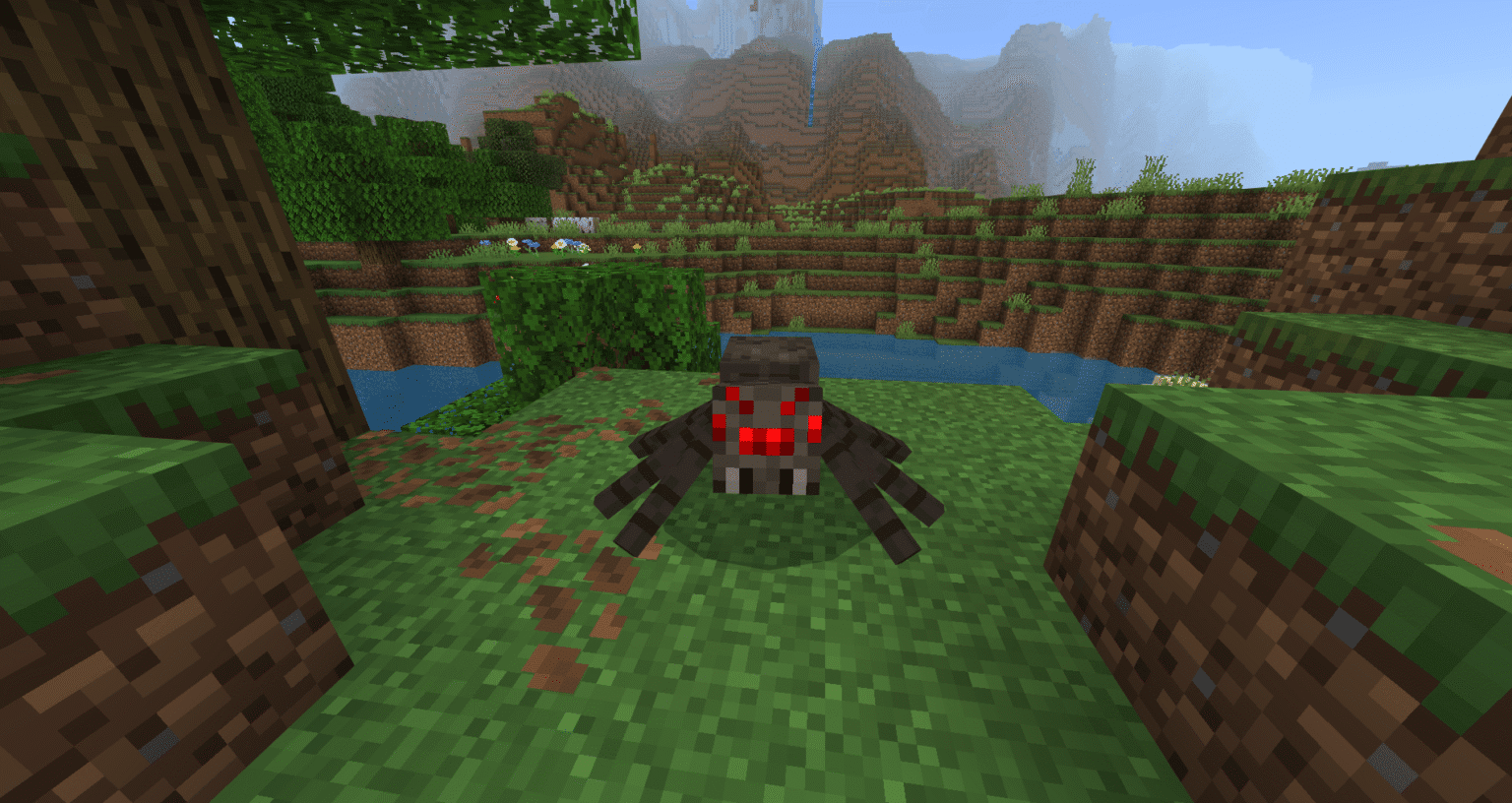Araña