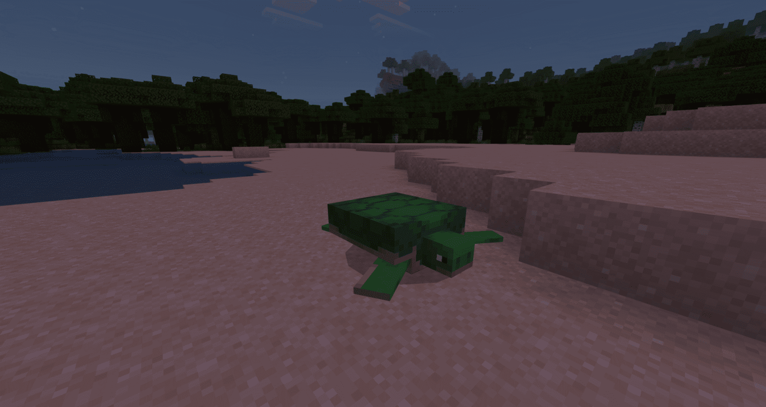 Tortuga