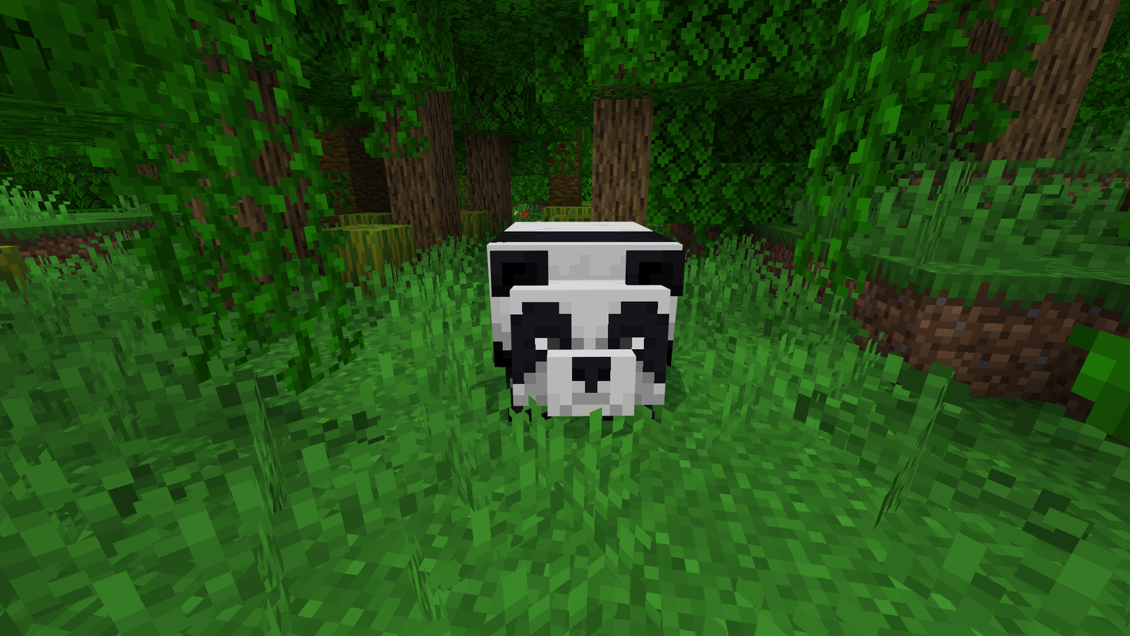 panda